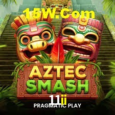 Experiência VIP 11ii